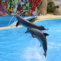 Marineland - Dauphins - 086